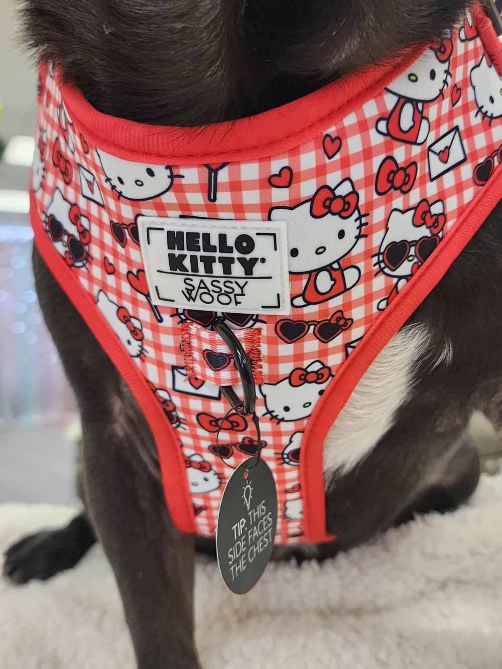 Hello Kitty Sassy Woof Red Dog Bib Harness
